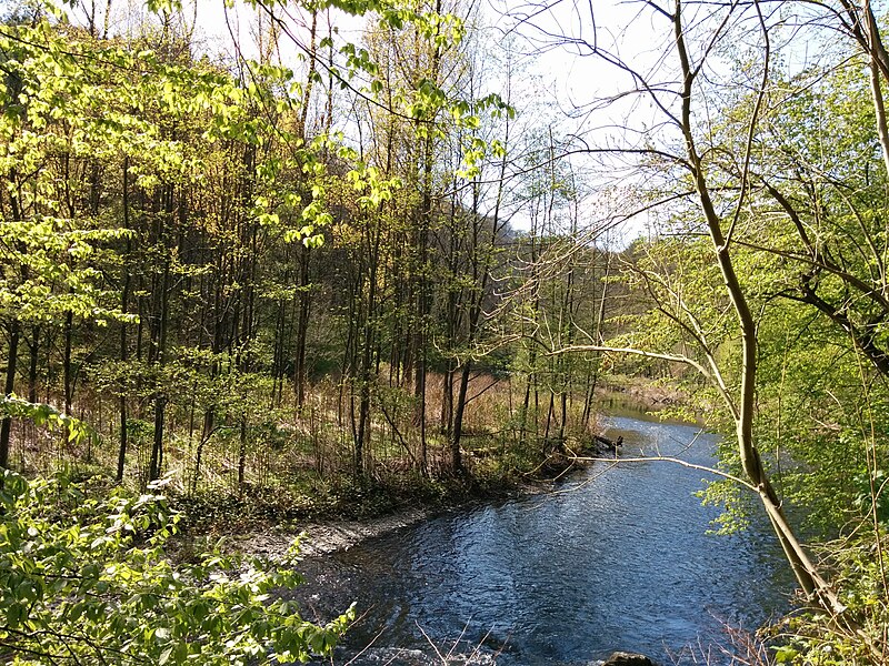 File:Muengstener-bruecke-umgebung-tobefree-20170429-163013.jpg