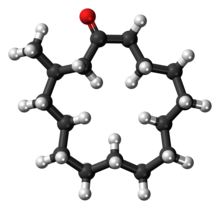 Modelo de bola y palo de la molécula de muscone