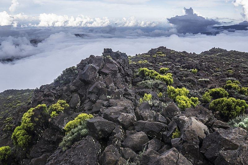 File:Névoa abaixo do Piton des Neiges.jpg