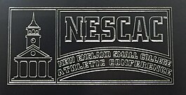 Спортивная конференция малого колледжа Новой Англии logo 