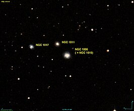 NGC 1006