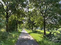 Rad- und Fußweg durch das NSG