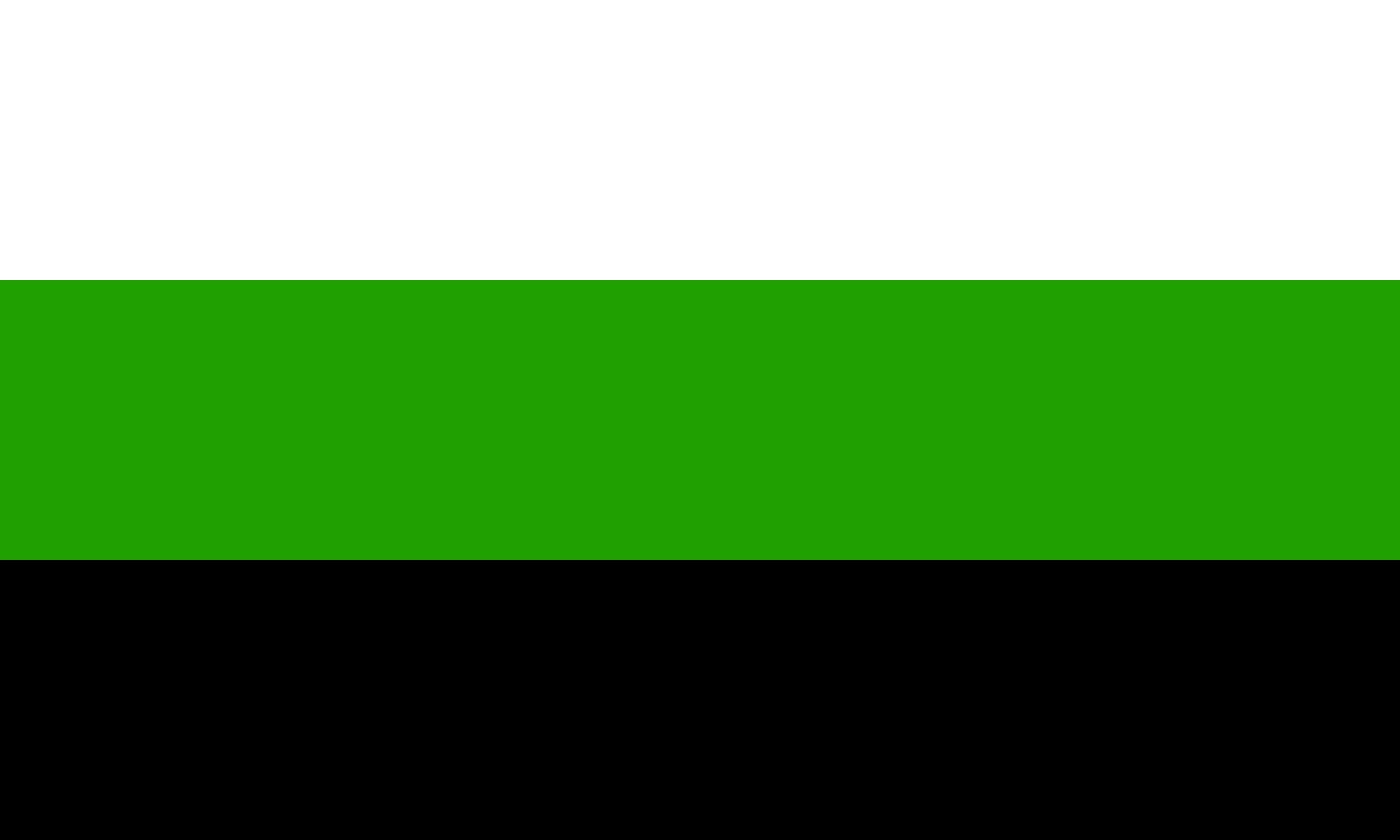 File Neutrois Flag Svg Wikimedia Commons