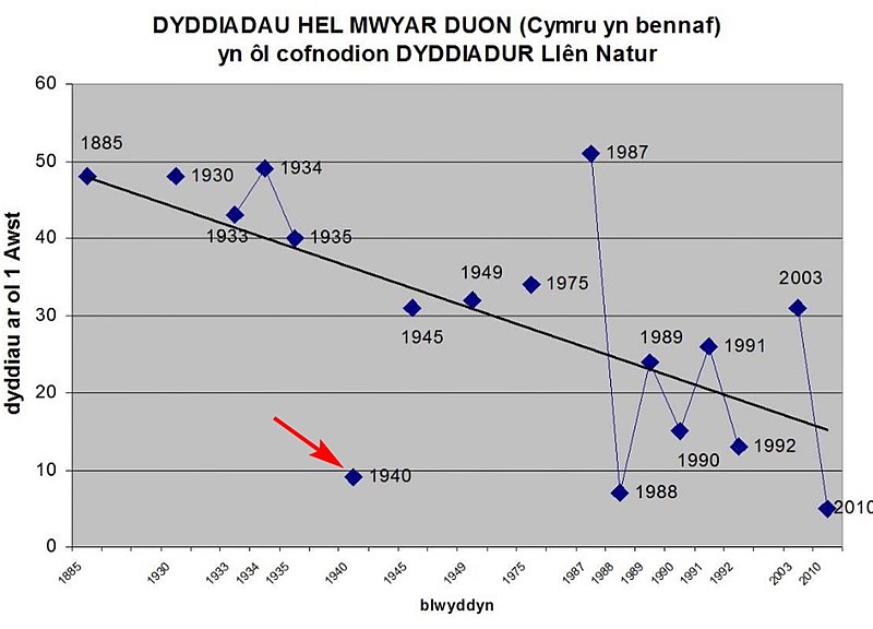 File:Newid dros amser yn y dyddiad cyntaf “hel mwyar duon” yng Nghymru’n bennaf.jpg