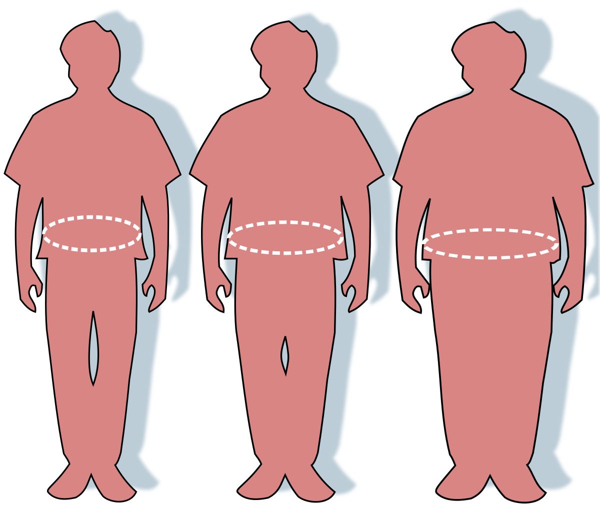 Comparing the Accuracy of Body Fat Scales - ABC News