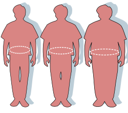 Oikeanpuoleisen miehen vyötärö on 152, keskimmäisen 114 ja vasemmanpuoleisen 84 cm. Ihanteellinen vyötärönympärys on miehillä alle 100 ja naisilla alle 90 cm