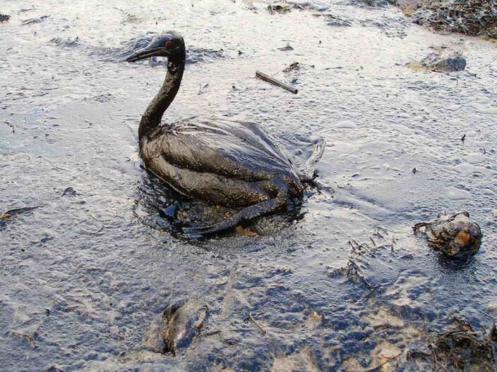 Экологические последствия воды