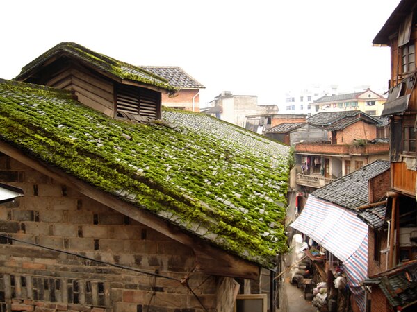 Image: Old Houses Jiaocheng District Ningde