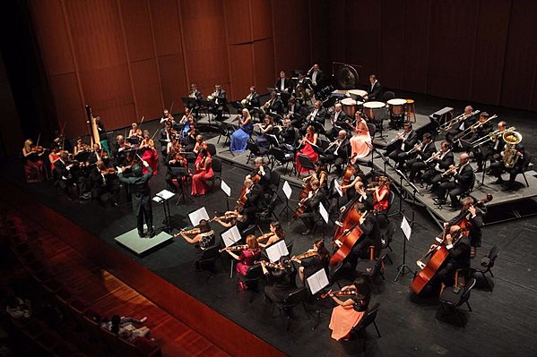 Bucharest Symphony Orchestra