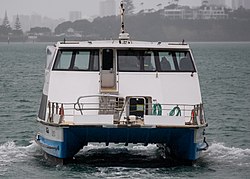 Osprey, Auckland