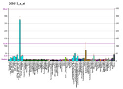 PBB GE AIFM1 205512 s в формате fs.png