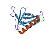 PDB 1ddw EBI.jpg