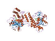 PDB 1uk1 EBI.jpg