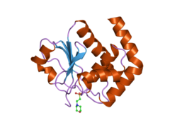 PDB 1wrm EBI.png