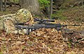 PEO M14 EBR Multicam Soldier.jpg