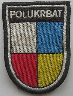 Polish–Ukrainian Peace Force Battalion Military unit