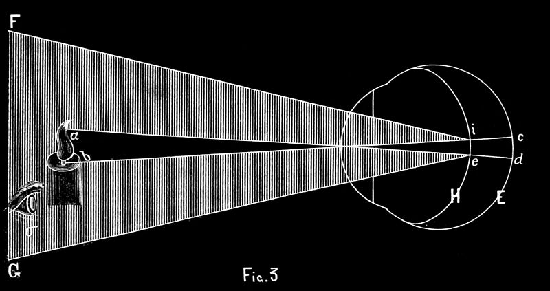 File:PSM V24 D837 Illuminating the back of the eye.jpg