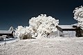 Français : Jardin et noyer, Route de Seurre, Pagny-le-Château (Côte d'Or, Bourgogne, France) photographié avec un filtre infrarouge 720 nm. Català: Jardí i noguera, Carretera de Seurre, Pagny-le-Château (Costa d'Or, Borgonya, França) fotografiat amb un filtre infraroig 720 nm. Español: Jardín y noguera, Carretera de Seurre, Pagny-le-Château (Côte d'Or, Borgoña, Francia) fotografiado con un filtro infrarrojo 720 nm.