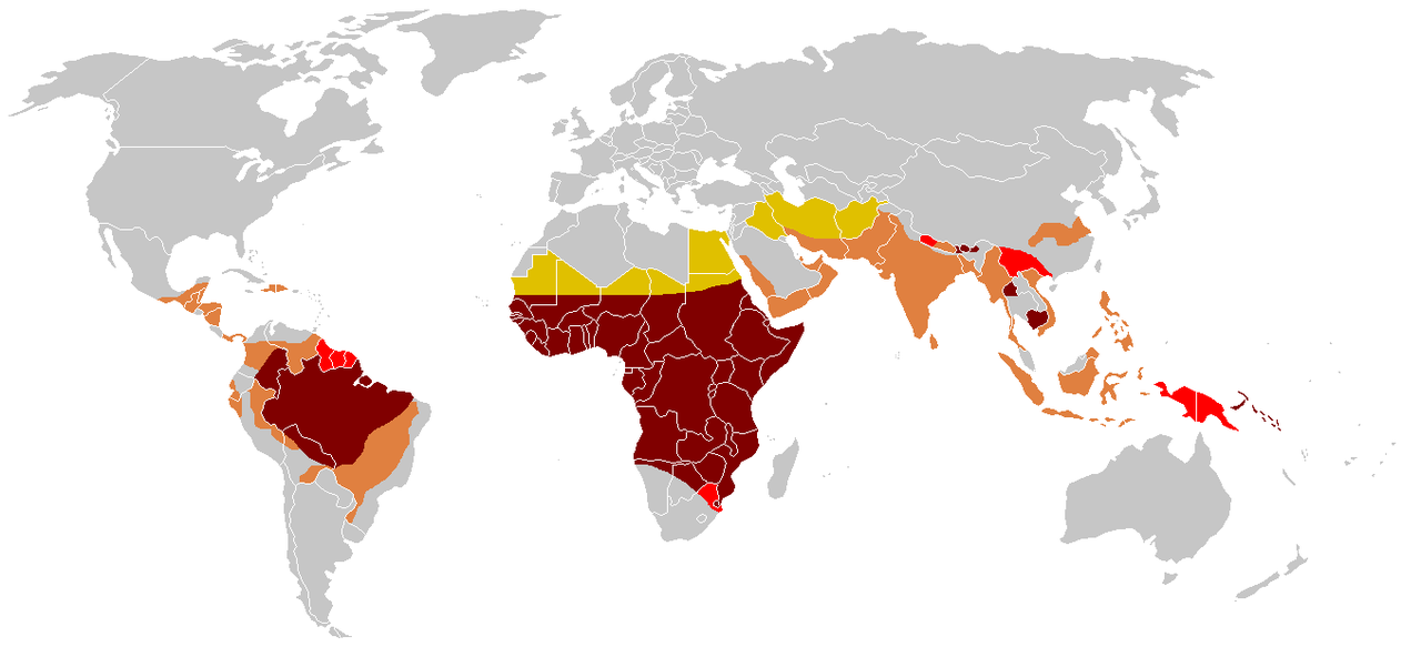 التطور نظرية نسفتها الاحفوريات و يداقع عنها المجانين  - صفحة 2 1280px-Paludisme_-_Frequence_statistique