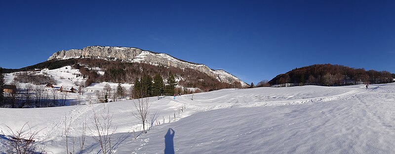 File:Panorama desert.JPG