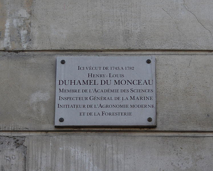 File:Paris Plaque Henri Louis Duhamel du Monceau 24.JPG