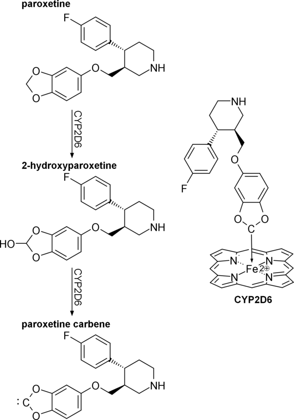 Mechanism of paroxetine inhibition of CYP2D6.[84]