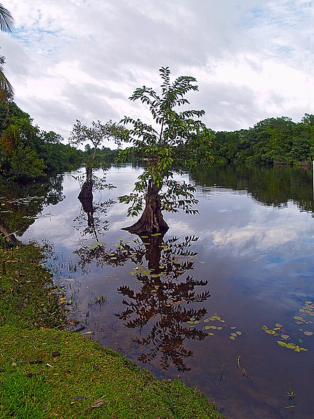 File:Parque Nacional Punta Izopo 01.jpg