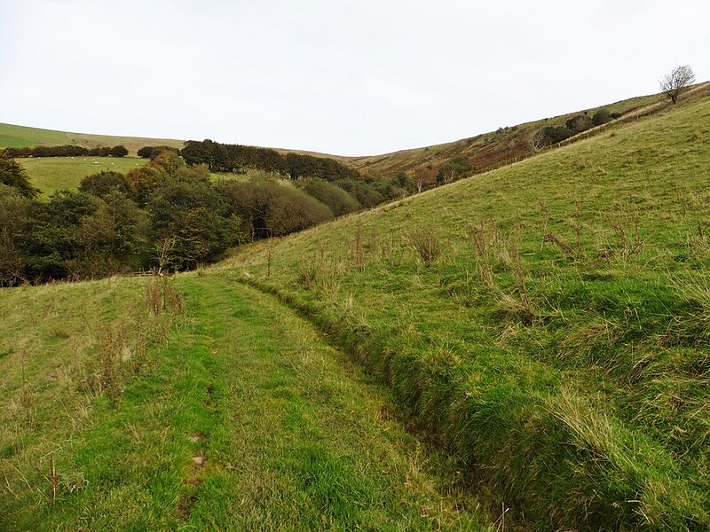 File:Path in Kedworthy Combe - geograph.org.uk - 5548501.jpg