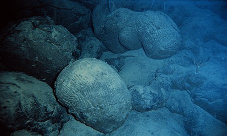 Подушки-базальты на морском дне южной части Тихого океана