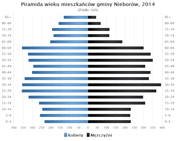 Piramida wieku Gmina Nieborow.png