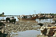 Der Indus zwischen Rohri und Sukkur