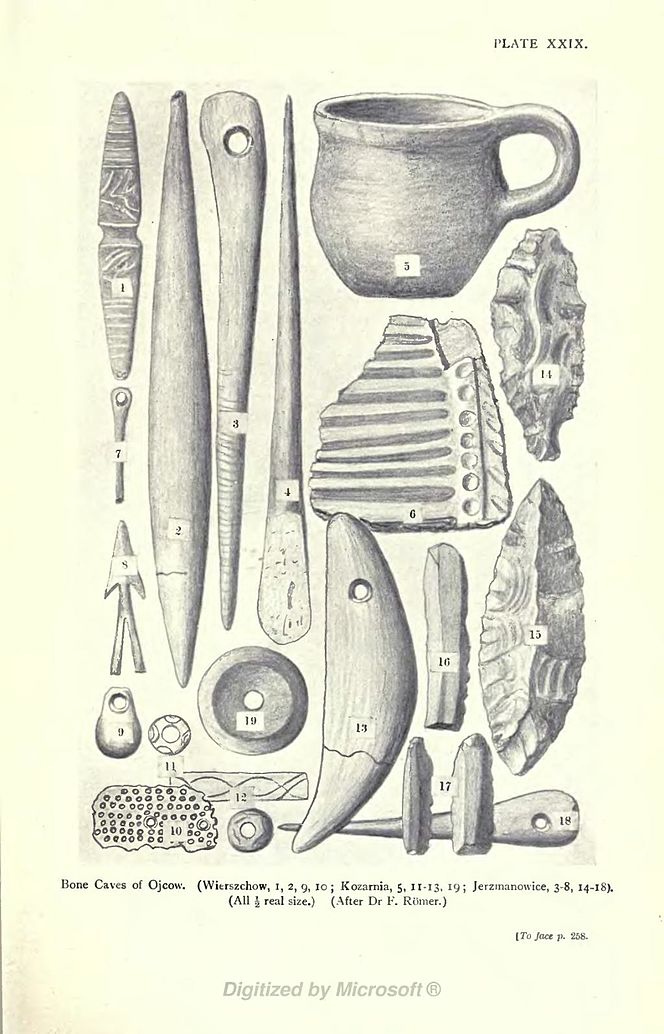 Bone Caves of Ojcow. (Wierszchow, I, 2, 9, 10 ; Kozarnia, 5, 11-13, *9; Jerzmanowice, 3-8, 14-18). (All ½ real size.) (After Dr F. Römer.) [To Jace p. 258.