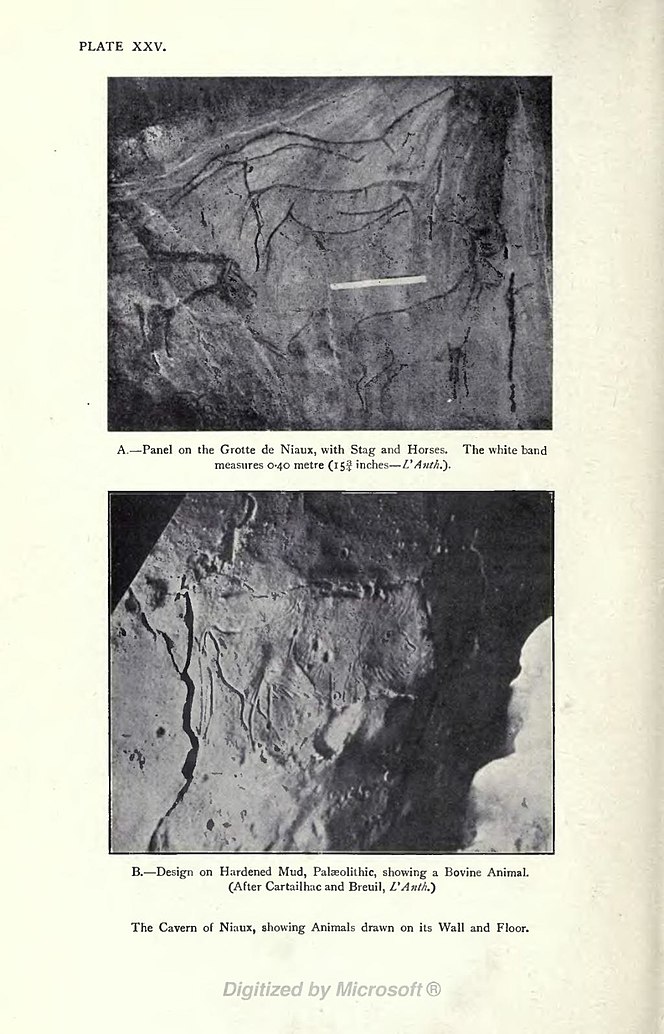 A.—Panel on the Grotte de Niaux, with Stag and Horses. The white band measures 0.40 metre (15¾ inches — L'Anth.). B.—Design on Hardened Mud, Palaeolithic, showing a Bovine Animal. (After Cartailhac and Breuil, L'Anth.) The Cavern of Niaux, showing Animals drawn on its Wall and Floor.