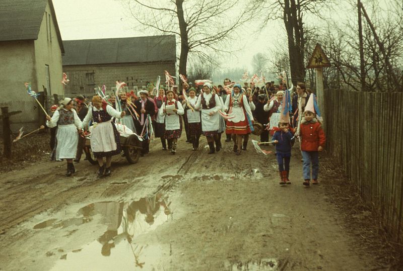 File:Pochód cymbrowników w drodze przez wieś - Poniatów - 000416s.jpg