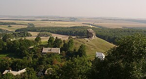 Tipiska rajona ainava (Pidkaminas ciems Brodu rajonā)