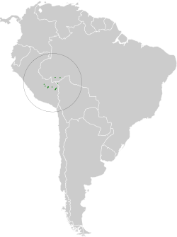 Distribución geográfica del titirijí cariblanco.