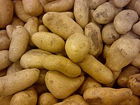Potato 123.jpg