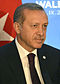President Erdogan (cropped).jpg