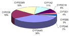 Proportion of drugs metabolized by different CYPs