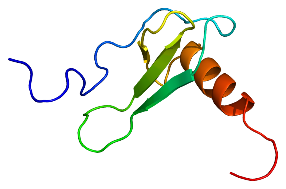 Chemokin