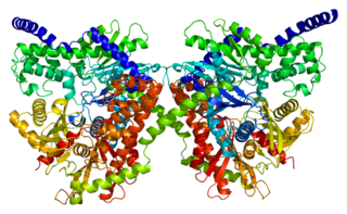 HK1 protein-coding gene in the species Homo sapiens