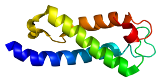 SETD2 protein-coding gene in the species Homo sapiens