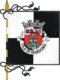 Flag of the Concelhos Penedono