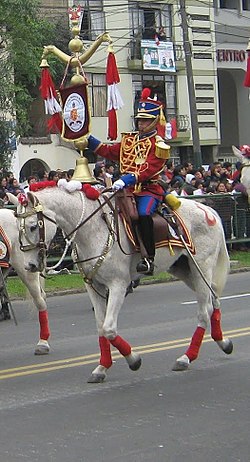 RC HUSARES DE JUNIN n. 1.jpg