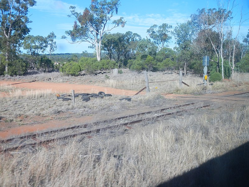 File:Rail Siding near Charleville - panoramio.jpg