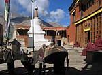 Rangdum Monastery (Shadup Dzamlinggyan) Rangdum Gompa Inside Courtyard.JPG