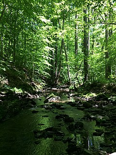 Rocky Run (Brandywine Creek tributary) Stream in Delaware, USA