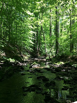 <span class="mw-page-title-main">Rocky Run (Brandywine Creek tributary)</span> Stream in Delaware, USA