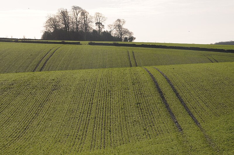 File:Rolling arable land - geograph.org.uk - 4794554.jpg