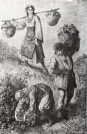 180px-Rose-picking_in_Bulgaria_1870ies.jpg